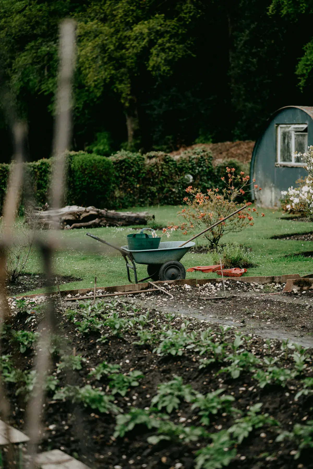 Gartenpflege mit Schubkarre und Werkzeug
