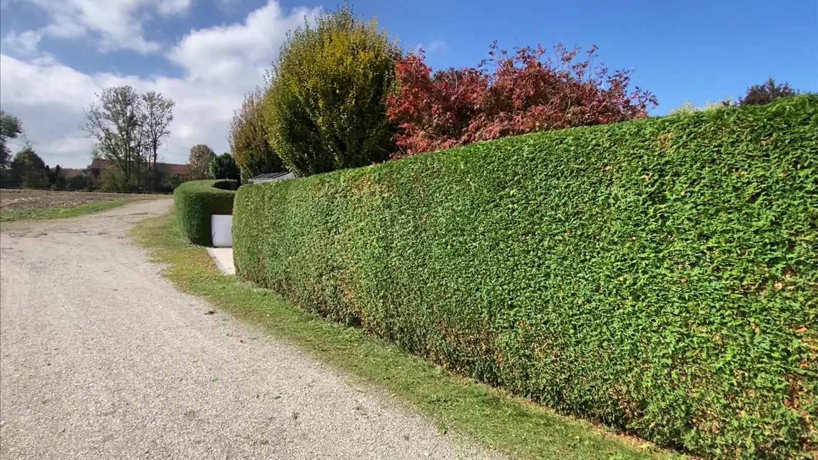 Lange, gleichmäßig geschnittene Hecke an einer Einfahrt