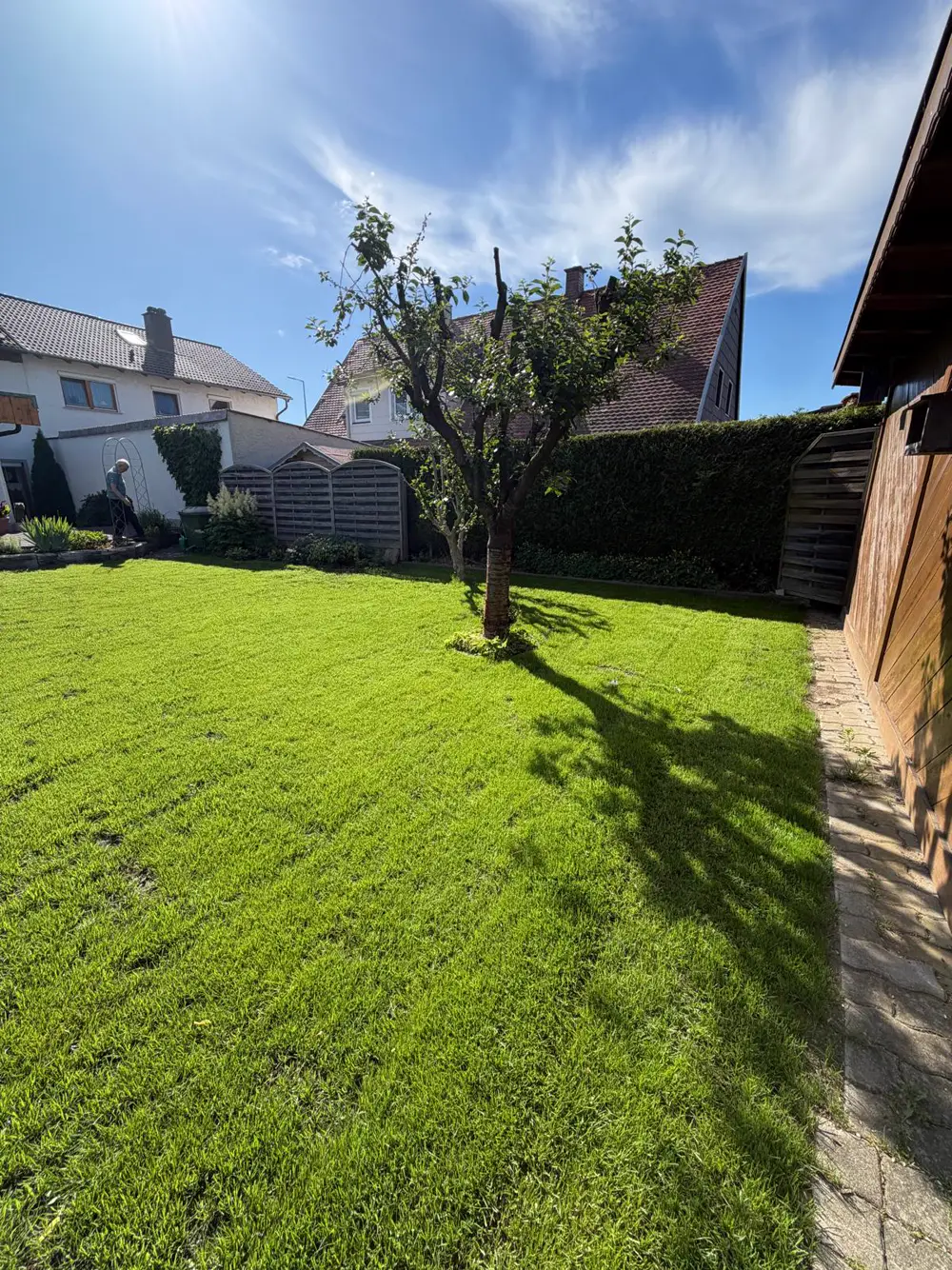 Neu angelegte grüne Rasenfläche in einem Privatgarten in Mühldorf