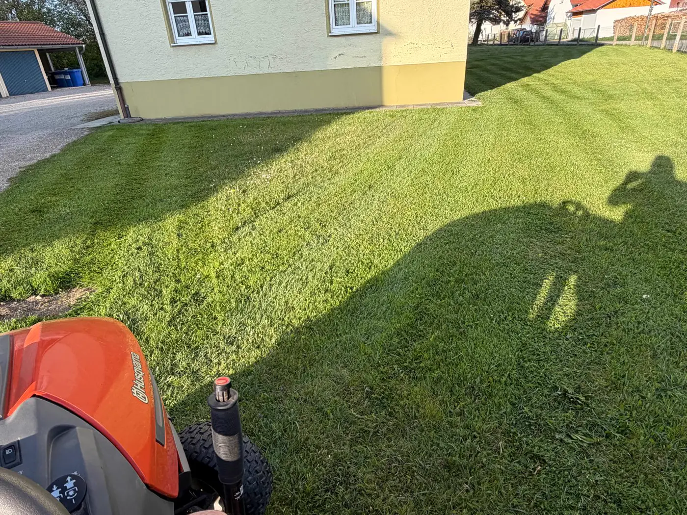 Frisch gemähter Rasen bei einem echten Kundenprojekt in Mühldorf