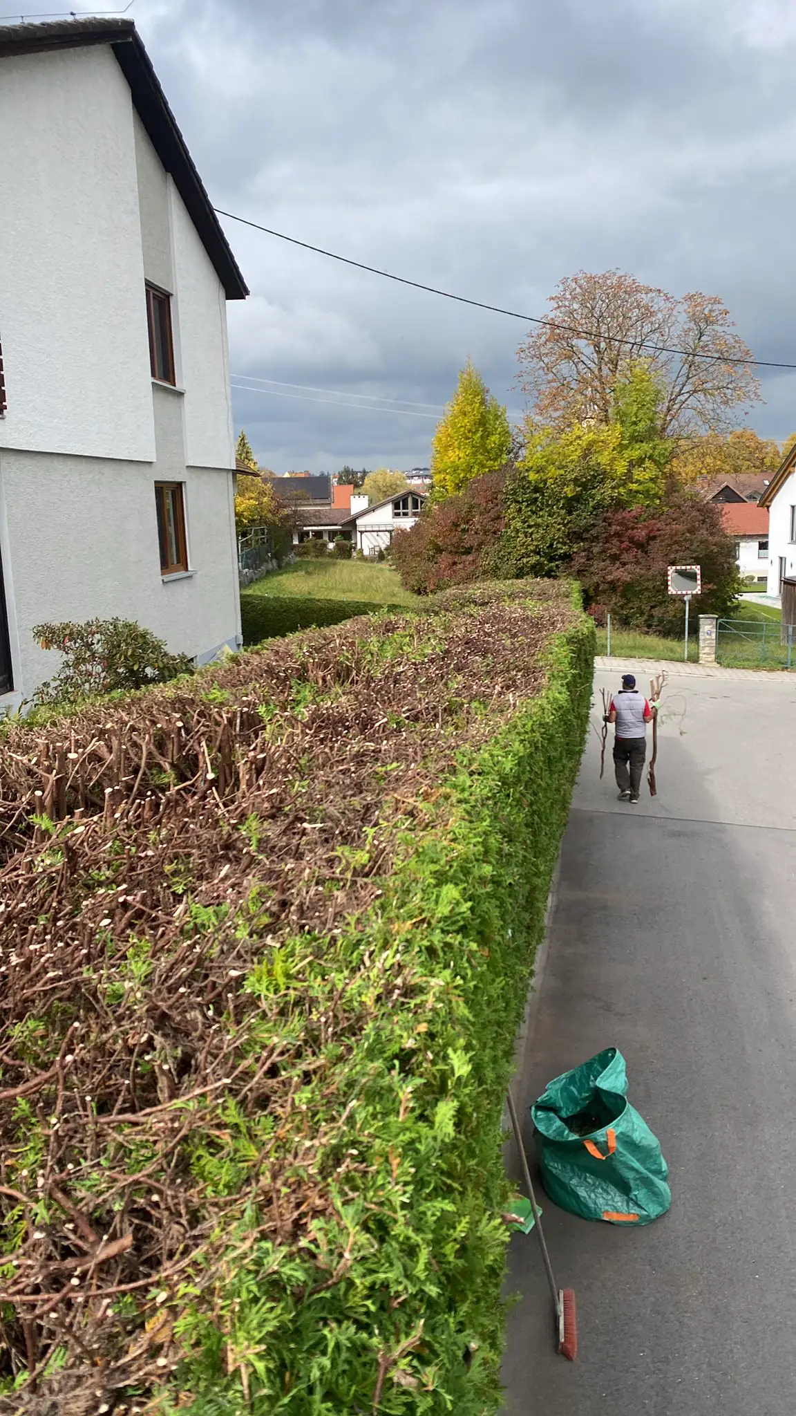 Geschnittene Hecke entlang einer Einfahrt